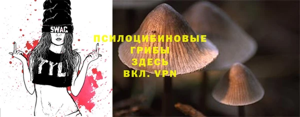бошки Армянск