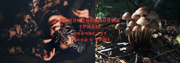 бошки Армянск