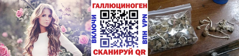 MEGA вход  Кувшиново  Галлюциногенные грибы мухоморы 